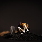 Midnight Gold Keycharm