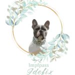 Impfpass "Eukalyptus"