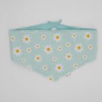 Gänseblümchen mint